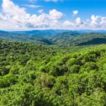 West Jefferson, NC, Homes For Sale, boone, NC, NC Mountain Properties, land for sale Banner Elk, Boone, NC mountains