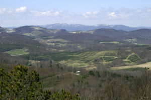 ashe county homes for sale, West Jefferson NC homes for sale, gated communities in nc mountains, Ashe County Realtors